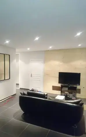 Plaquiste Bouguenais-1